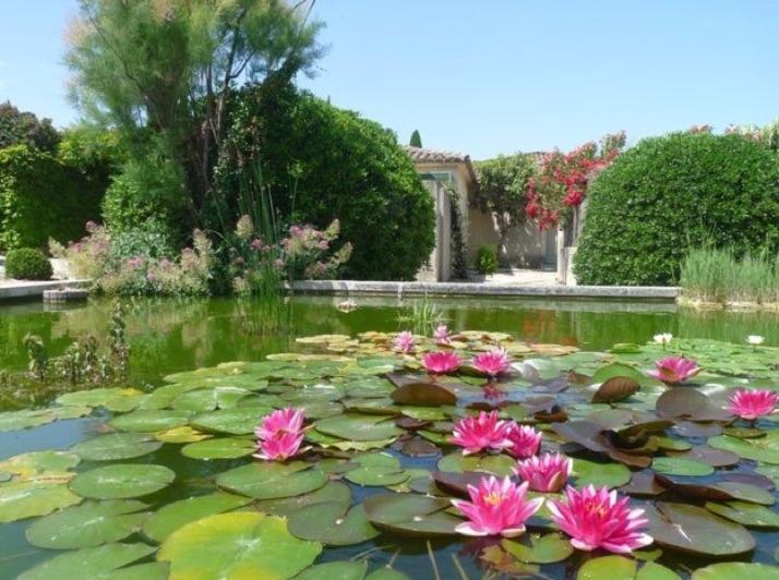 Un Gite En Provence - Les Jardins De Fontanille Saint-Rémy-de-Provence Kültér fotó