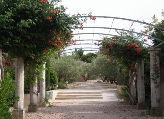 Un Gite En Provence - Les Jardins De Fontanille Saint-Rémy-de-Provence Kültér fotó