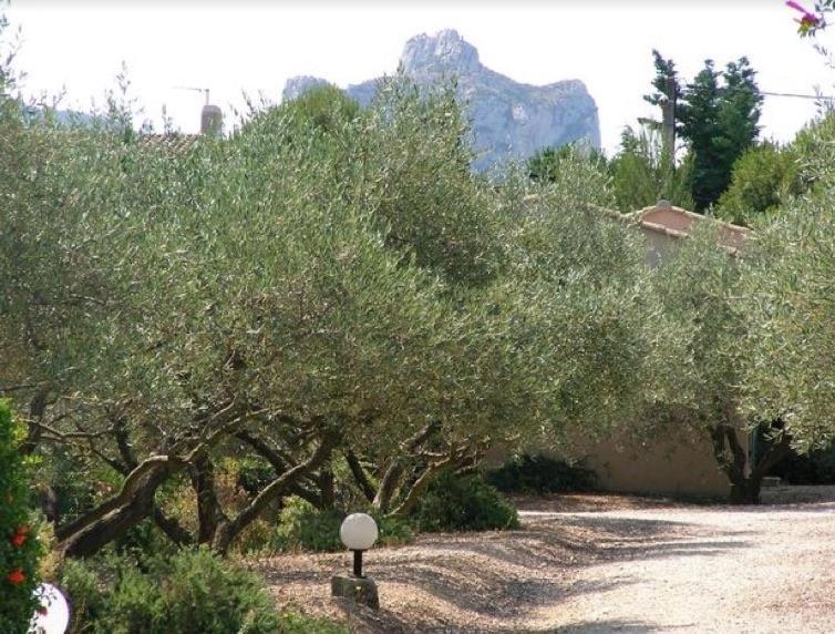 Un Gite En Provence - Les Jardins De Fontanille Saint-Rémy-de-Provence Kültér fotó