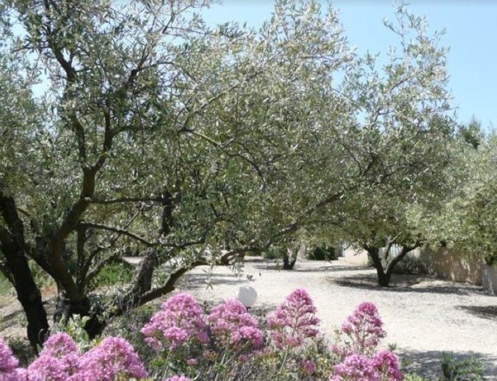 Un Gite En Provence - Les Jardins De Fontanille Saint-Rémy-de-Provence Kültér fotó